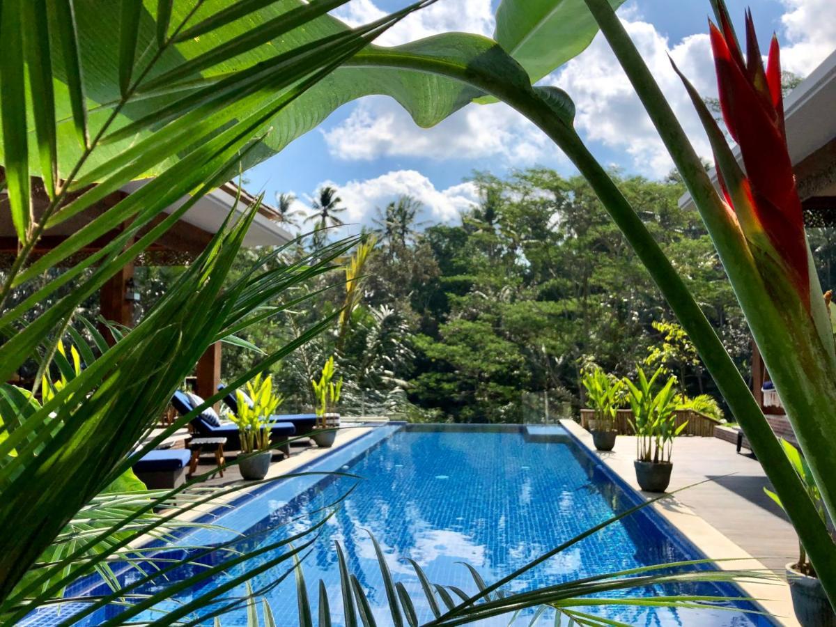 Puri Kasih Gottlieb Hotell Ubud Eksteriør bilde