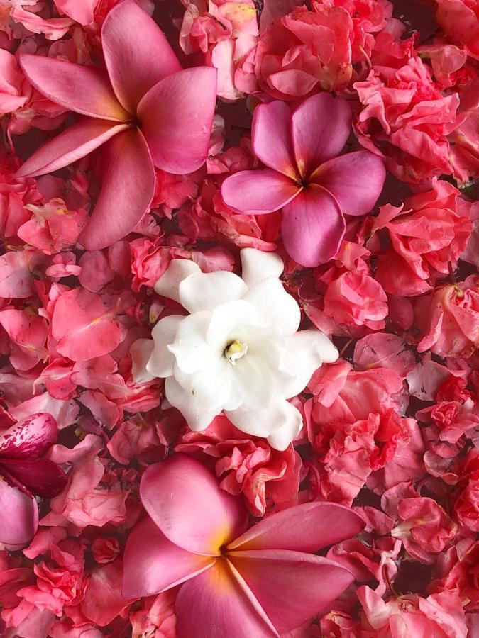 Puri Kasih Gottlieb Hotell Ubud Eksteriør bilde