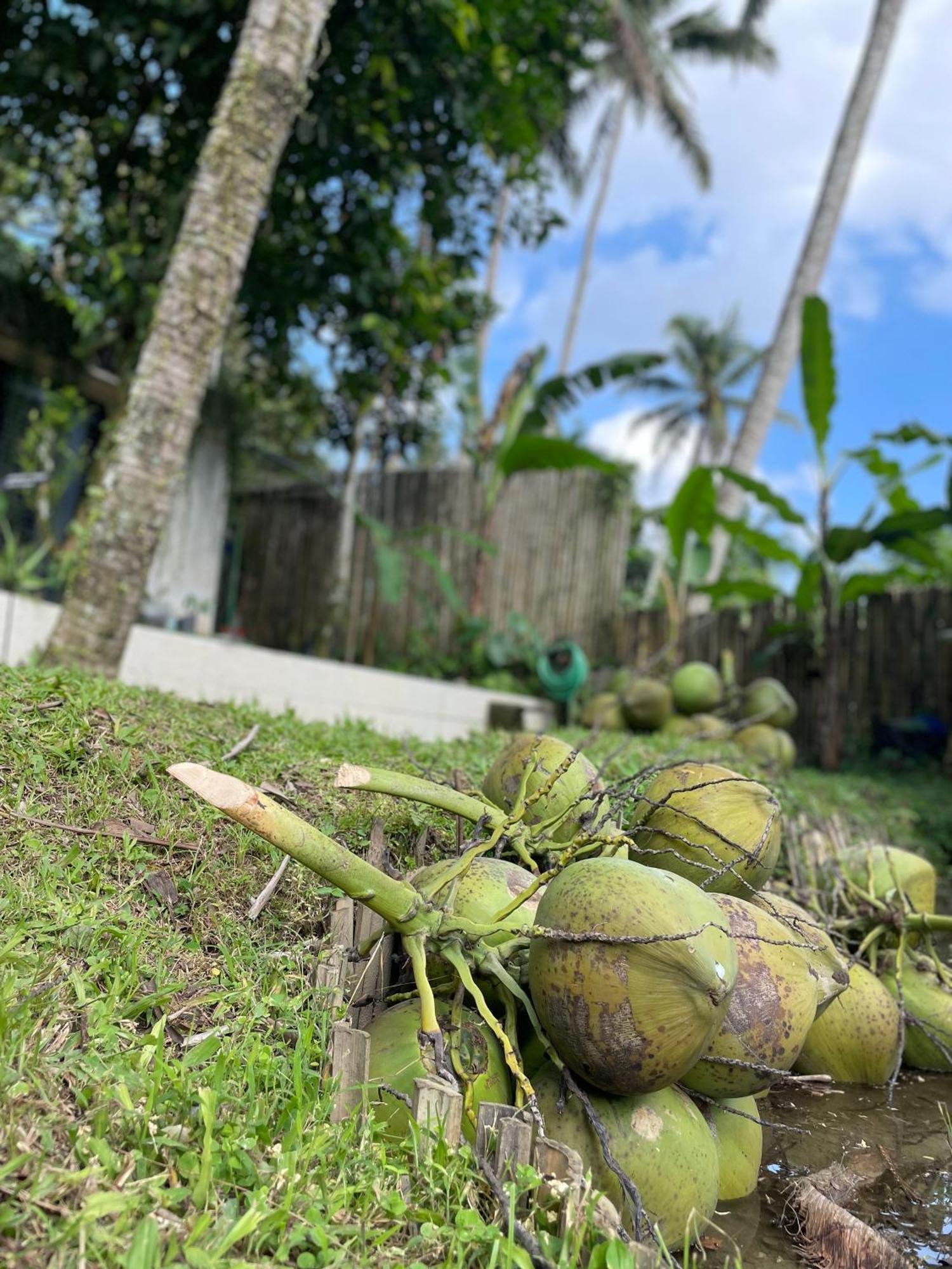 Puri Kasih Gottlieb Hotell Ubud Eksteriør bilde